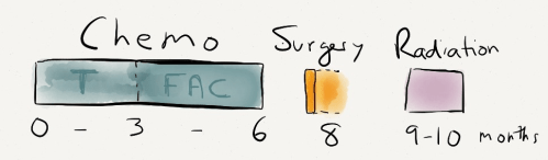 Day_15_chemo_surgery_radiation-3