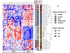 Fig. 1A from Danza et al.