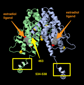 1A52__FirstGlance_in_Jmol