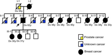 The family tree of the proband whose tumor was analyzed. (image from http://www.ncbi.nlm.nih.gov/pmc/articles/PMC4308828/figure/Fig1/)