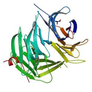 ImageSource=RCSB PDB; StructureID=3eu7; DOI=http://dx.doi.org/10.2210/pdb3eu7/pdb;