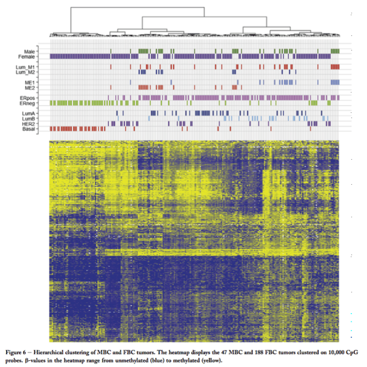 Johansson_2015_pdf__page_10_of_15_