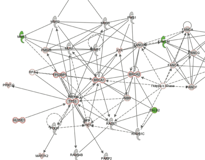 Piscuoglio-Clin_Cancer_Res-2016_pdf__page_32_of_34_